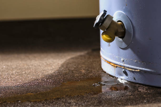Best Fire Damage Restoration  in Forsyth, MO