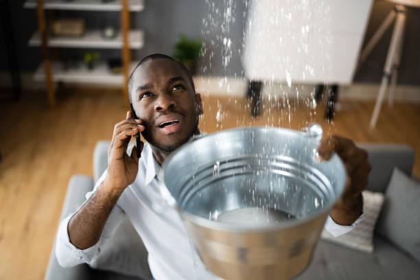 Best Mold removal after water damage  in Forsyth, MO