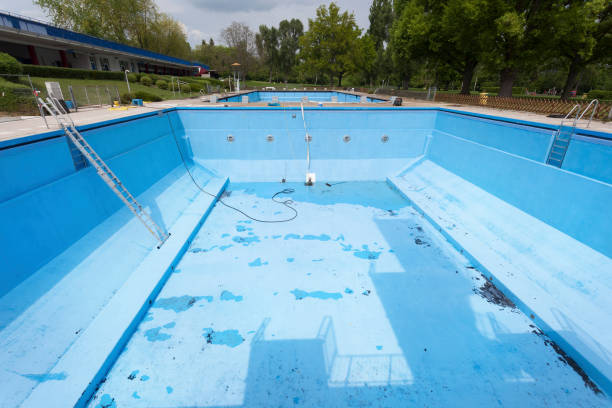 Best Water damage contractors near me  in Forsyth, MO
