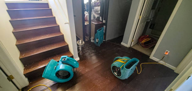 Best Water damage restoration cost  in Forsyth, MO