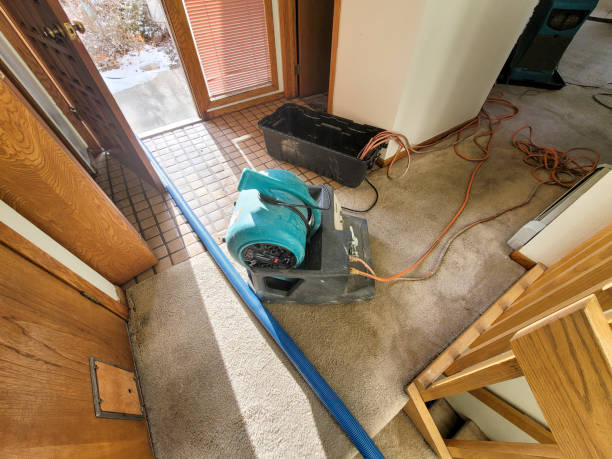 Best Sewage cleanup and water damage restoration  in Forsyth, MO