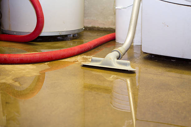 Best Water damage restoration near me  in Forsyth, MO