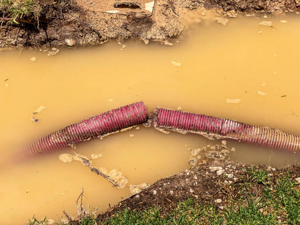 Best Local water damage restoration  in Forsyth, MO